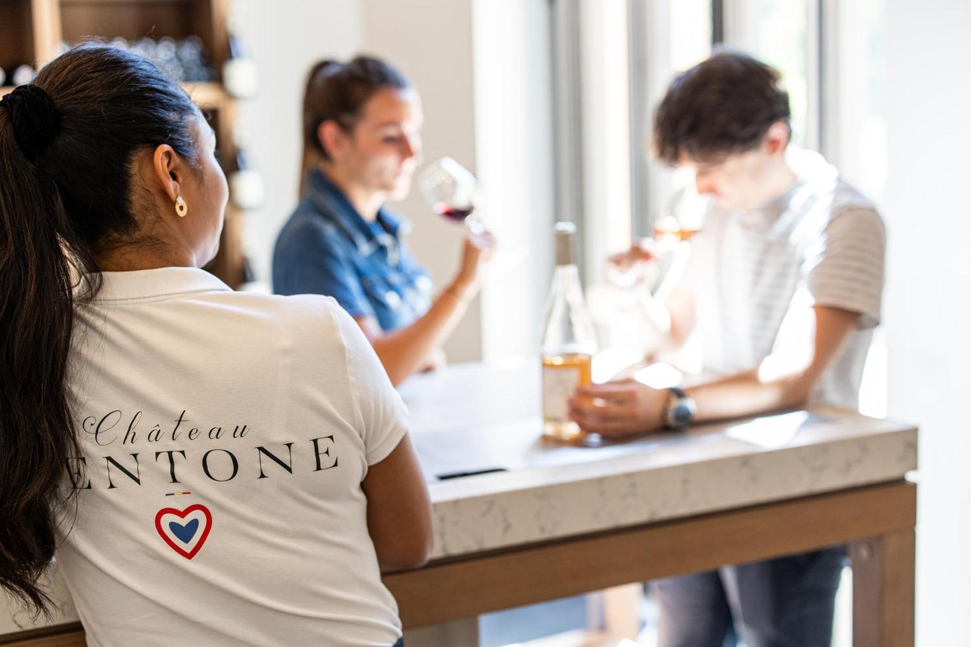 Chateau Mentone Masseboeuf Ngoại thất bức ảnh