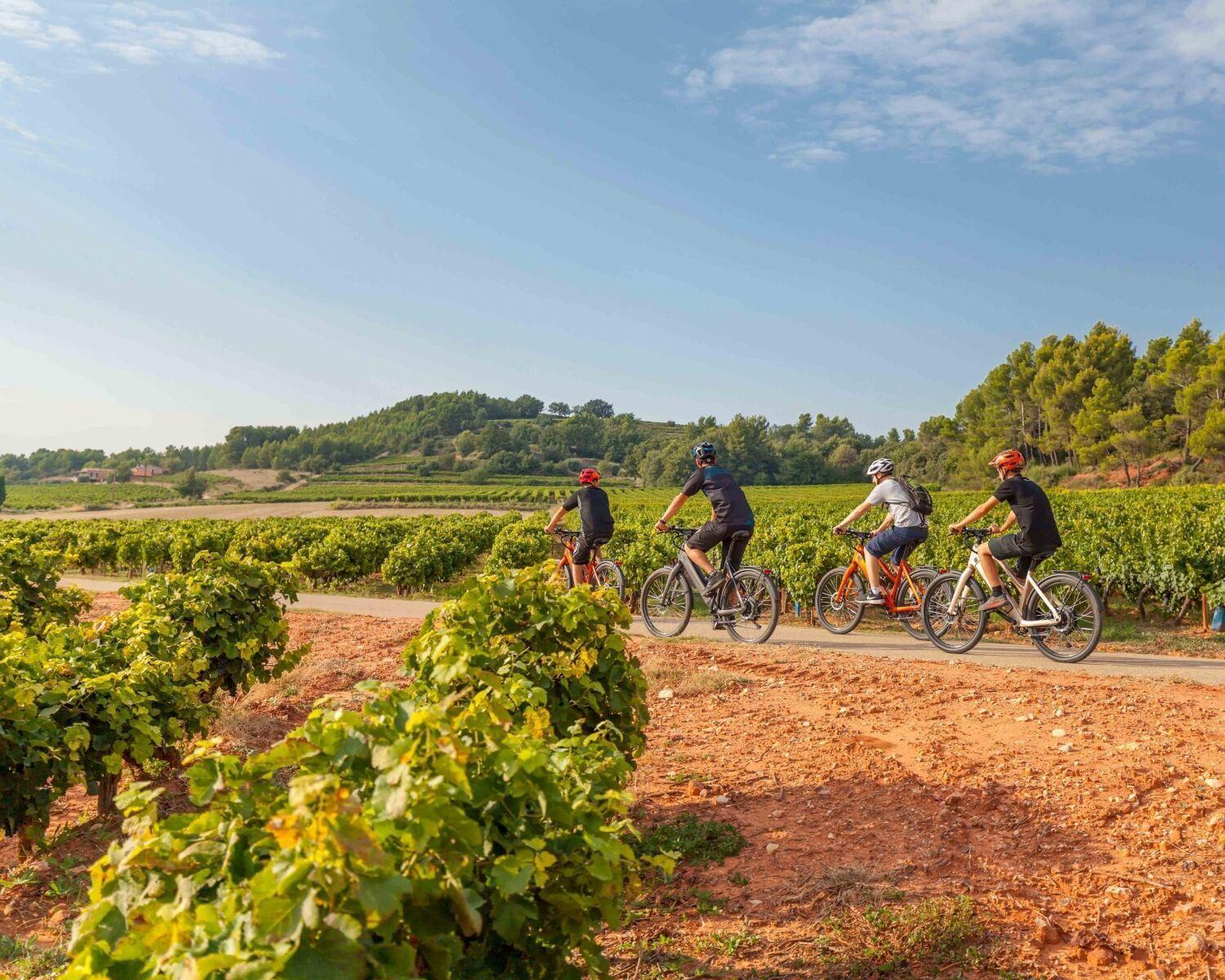 Chateau Mentone Masseboeuf Ngoại thất bức ảnh