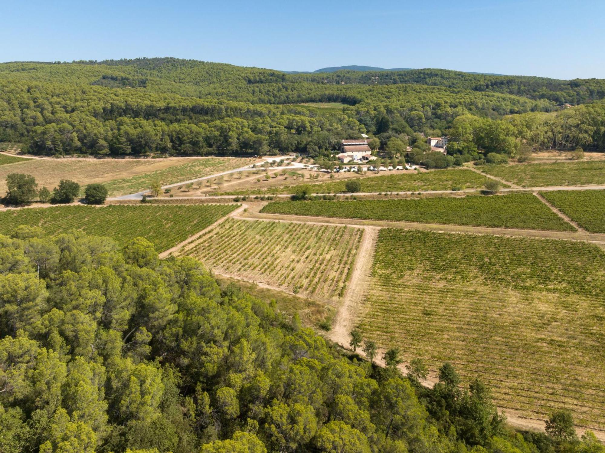 Chateau Mentone Masseboeuf Ngoại thất bức ảnh